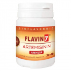 Vita Crystal Artemisinin Annua kapszula 30db Vita Crystal Artemisinin Annua kapszula 30db