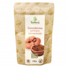 Biomenü bio Reishi ganoderma gomba por 100g Biomenü bio Reishi ganoderma gomba por 100g