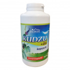 Vita Crystal Kudzu + B6 kapszula 250db Vita Crystal Kudzu + B6 kapszula 250db