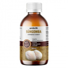 gomba Dr. Süngomba glicerines kivonat 100ml gomba Dr. Süngomba glicerines kivonat 100ml