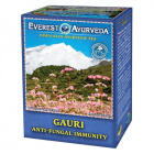 Everest Ayurveda Gauri candida és bőrgomba tea 100g Everest Ayurveda Gauri candida és bőrgomba tea 100g