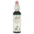 Bach Nr.33. Walnut virágesszencia 20ml Bach Nr.33. Walnut virágesszencia 20ml