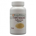FitoVital útifű maghéj psyllium husk kapszula 90db FitoVital útifű maghéj psyllium husk kapszula 90db