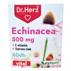 Dr. Herz Echinacea 500mg + C-vitamin + szerves cink kapszula 60db Dr. Herz Echinacea 500mg + C-vitamin + szerves cink kapszula 60db