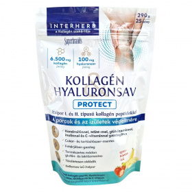 Interherb Kollagén Hyaluronsav italpor - protect 290g