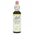 Bach Nr.09. Clematis virágesszencia 20ml Bach Nr.09. Clematis virágesszencia 20ml