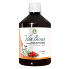 Vita Crystal Vita Biosa fermentált ital - csipke 500ml Vita Crystal Vita Biosa fermentált ital - csipke 500ml