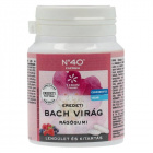 Lemon Pharma Bach Nr.40. Energy (energia) virágterápiás rágógumi 60g Lemon Pharma Bach Nr.40. Energy (energia) virágterápiás rágógumi 60g