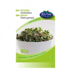 Réde bio retekmag csíráztatásra 15g Réde bio retekmag csíráztatásra 15g
