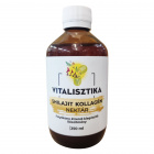 Vitalisztika shilajit-kollagén nektár 250ml 