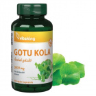 Vitaking Gotu Kola kivonat 2000mg vegán kapszula 60db Vitaking Gotu Kola kivonat 2000mg vegán kapszula 60db