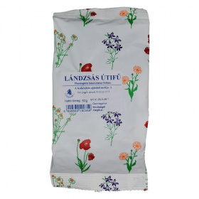 Gyógyfű lándzsás útifű tea 50g
