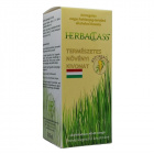 HerbaClass Astragalus kivonat 300ml - kiarusítás HerbaClass Astragalus kivonat 300ml - kiarusítás