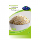 Réde bio lucernamag csíráztatásra 30g Réde bio lucernamag csíráztatásra 30g