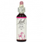Bach Nr.11. Elm virágesszencia 20ml Bach Nr.11. Elm virágesszencia 20ml