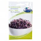 Réde vöröskáposztamag csíráztatásra 15g Réde vöröskáposztamag csíráztatásra 15g