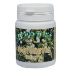 Bionit fagyöngy tabletta 90db Bionit fagyöngy tabletta 90db