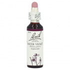 Bach Nr.34. Water Violet virágesszencia 20ml Bach Nr.34. Water Violet virágesszencia 20ml