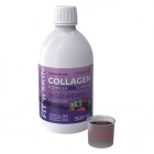 Magna Fit‘n skin kollagén formula (erdei gyümölcs ízű ) kollagén ital 500ml Magna Fit‘n skin kollagén formula (erdei gyümölcs ízű ) kollagén ital 500ml
