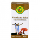 Sun Moon Ganoderma spóra (30mg) lágyzselatin kapszula 100db Sun Moon Ganoderma spóra (30mg) lágyzselatin kapszula 100db