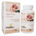 Vitalbert Agaricus kivonat kapszula 60db Vitalbert Agaricus kivonat kapszula 60db