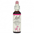 Bach Nr.30. Sweet Chestnut virágesszencia 20ml Bach Nr.30. Sweet Chestnut virágesszencia 20ml
