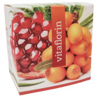 Vitaflorin (BIOMULTIvitamin) 90db Vitaflorin (BIOMULTIvitamin) 90db