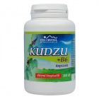 Vita Crystal Kudzu + B6 kapszula 100db Vita Crystal Kudzu + B6 kapszula 100db