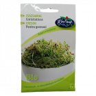 Réde bio zsázsamag csíráztatásra 30g Réde bio zsázsamag csíráztatásra 30g