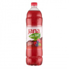 Jana jeges tea - erdei gyümölcs, áfonya 1500ml Jana jeges tea - erdei gyümölcs, áfonya 1500ml