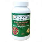 Fitovital Galagonya kapszula 60db Fitovital Galagonya kapszula 60db