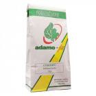 Adamo citromfű tea 50g Adamo citromfű tea 50g