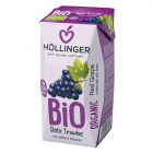 Höllinger bio nektár - vörösszőlő 200ml Höllinger bio nektár - vörösszőlő 200ml