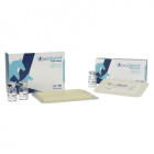 Artinvet Vexoderm steril kötszer (9x4cm) 1db Artinvet Vexoderm steril kötszer (9x4cm) 1db