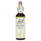 Bach Nr.21. Mustard virágesszencia 20ml Bach Nr.21. Mustard virágesszencia 20ml