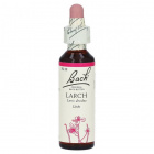 Bach Nr.19. Larch virágesszencia 20ml Bach Nr.19. Larch virágesszencia 20ml