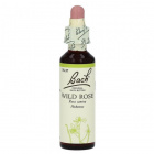 Bach Nr.37. Wild Rose virágesszencia 20ml Bach Nr.37. Wild Rose virágesszencia 20ml
