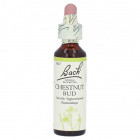 Bach Nr.07. Chestnut Bud virágesszencia 20ml Bach Nr.07. Chestnut Bud virágesszencia 20ml