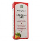 Dr. Chen Kohoflu szirup C-vitaminnal 150ml Dr. Chen Kohoflu szirup C-vitaminnal 150ml