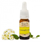 Bach virágeszencia elsősegély cseppek 30ml Bach virágeszencia elsősegély cseppek 30ml