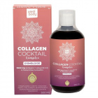 Idealbody Collagen Cocktail komplex - gyümölcs 500ml Idealbody Collagen Cocktail komplex - gyümölcs 500ml