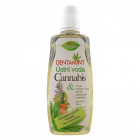 Bio Bione Dentamint Cannabis szájvíz 500ml Bio Bione Dentamint Cannabis szájvíz 500ml