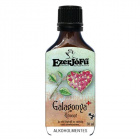 Ezerjófű Galagonya+ glicerines cseppek 50ml Ezerjófű Galagonya+ glicerines cseppek 50ml