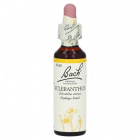 Bach Nr.28. Scleranthus virágesszencia 20ml Bach Nr.28. Scleranthus virágesszencia 20ml