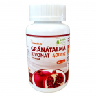 Netamin Gránátalma 400mg kivonat kapszula 60db Netamin Gránátalma 400mg kivonat kapszula 60db