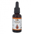 Dr. Méz propolisz tinktúra cseppentővel 30ml Dr. Méz propolisz tinktúra cseppentővel 30ml
