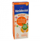 Walmark Marslakócskák Szirup - narancs ízű 150ml Walmark Marslakócskák Szirup - narancs ízű 150ml