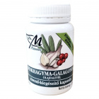 Dr. M Prémium fokhagyma-galagonya-olajfalevél kapszula 60db Dr. M Prémium fokhagyma-galagonya-olajfalevél kapszula 60db