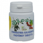 Bionit fokhagyma-fagyöngy-galagonya tabletta 90db Bionit fokhagyma-fagyöngy-galagonya tabletta 90db