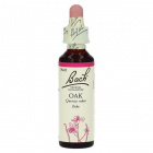 Bach Nr.22. Oak virágesszencia 20ml Bach Nr.22. Oak virágesszencia 20ml